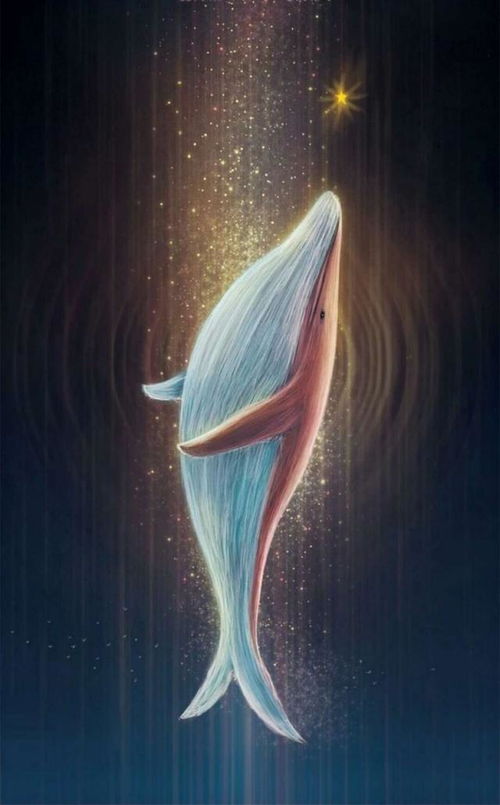 轮回的告白 如果有下一次相遇